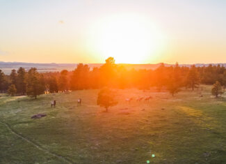 Buffalo Creek Ranch