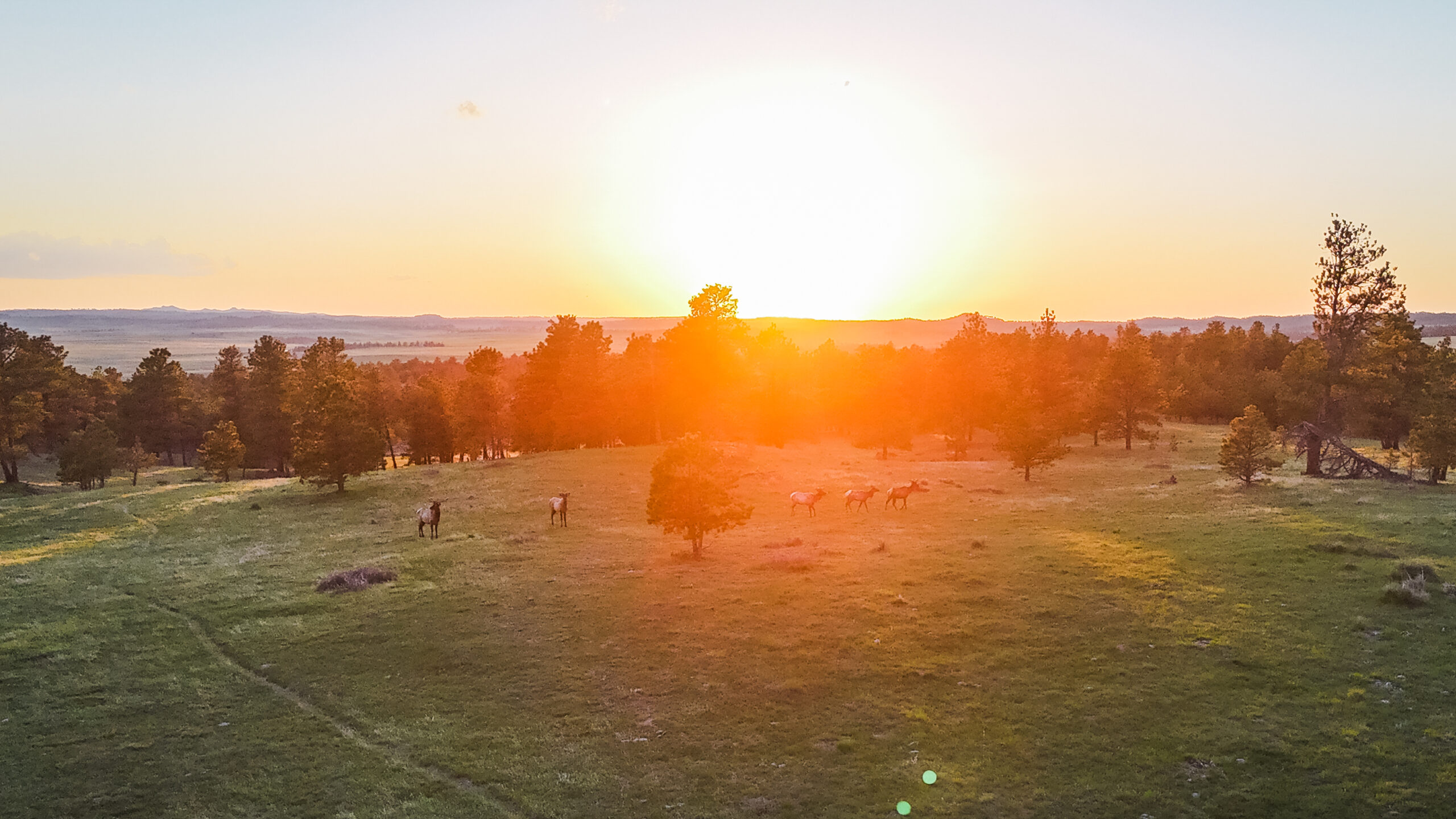 Buffalo Creek Ranch