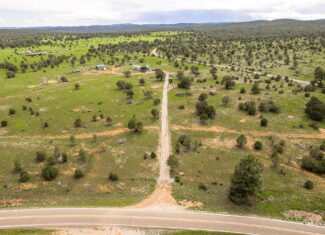 Cattle & Hunting Ranch for Sale in Weed, NM
