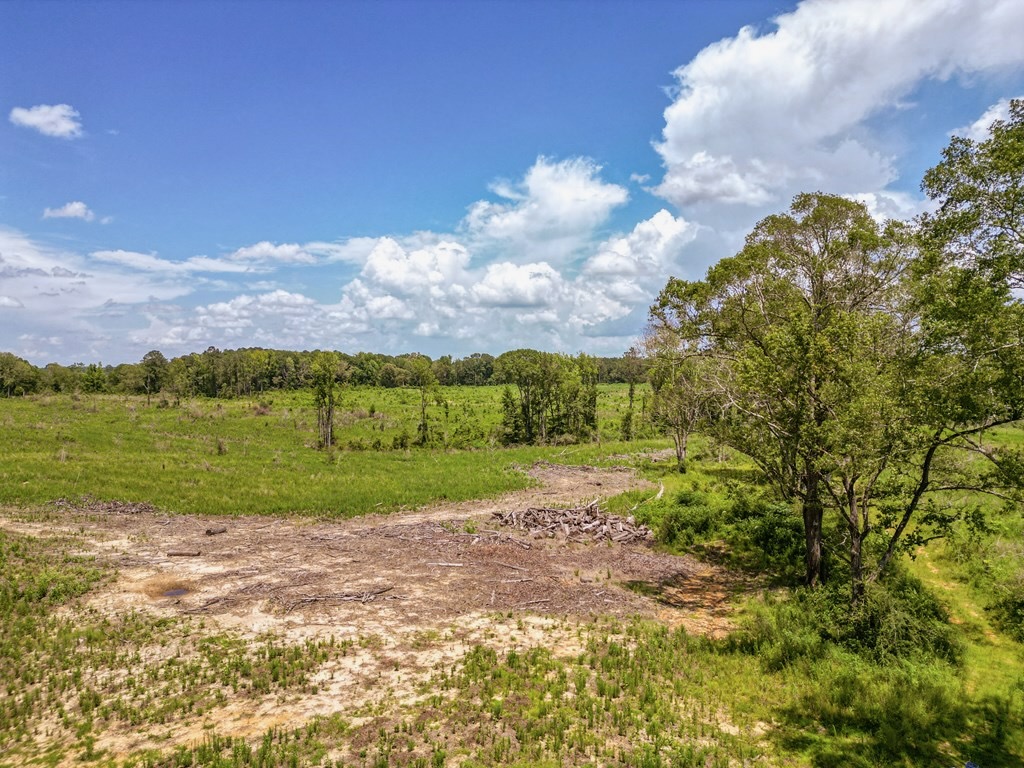Land for Sale in Amite County, MS