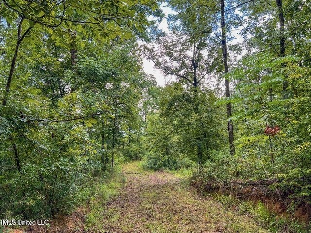 95 Acres of Prime Hunting Property in Hinds County
