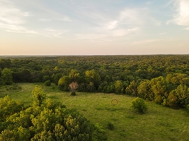 Land For Sale Barton County, MO 160± acres