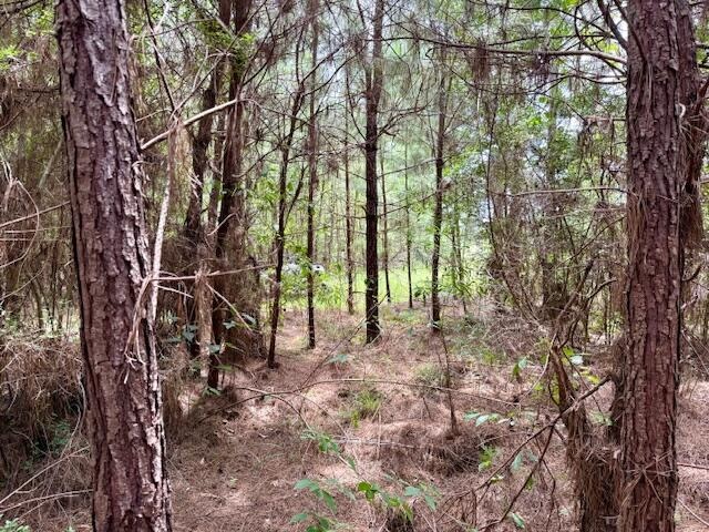67 Acres For Sale Lawrence County MS