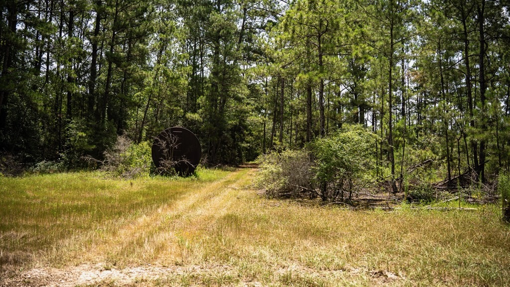 Clear Lake Land in East Feliciana Parish, Louisiana