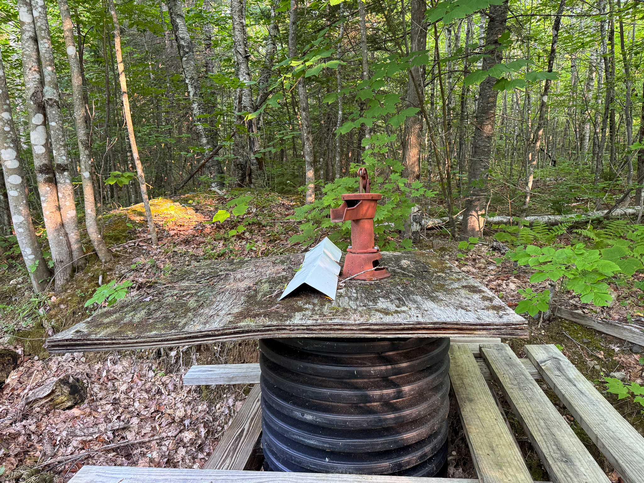 Off-Grid Cabin with 150± Acres Bordering Mount Chase