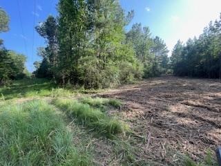 Small Hunting Tract FOR SALE in Amite County, MS