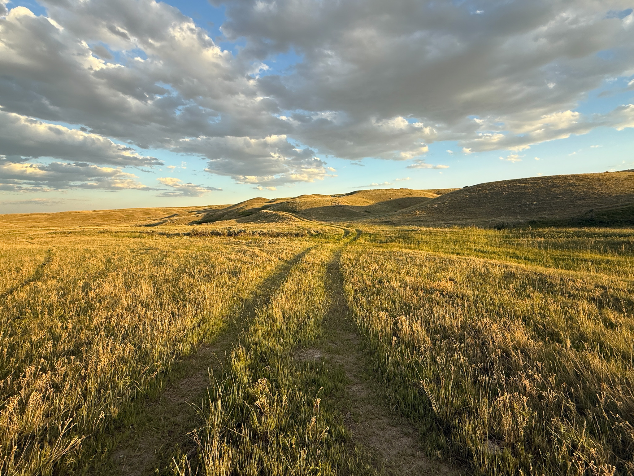 Norman Mavencamp Ranch