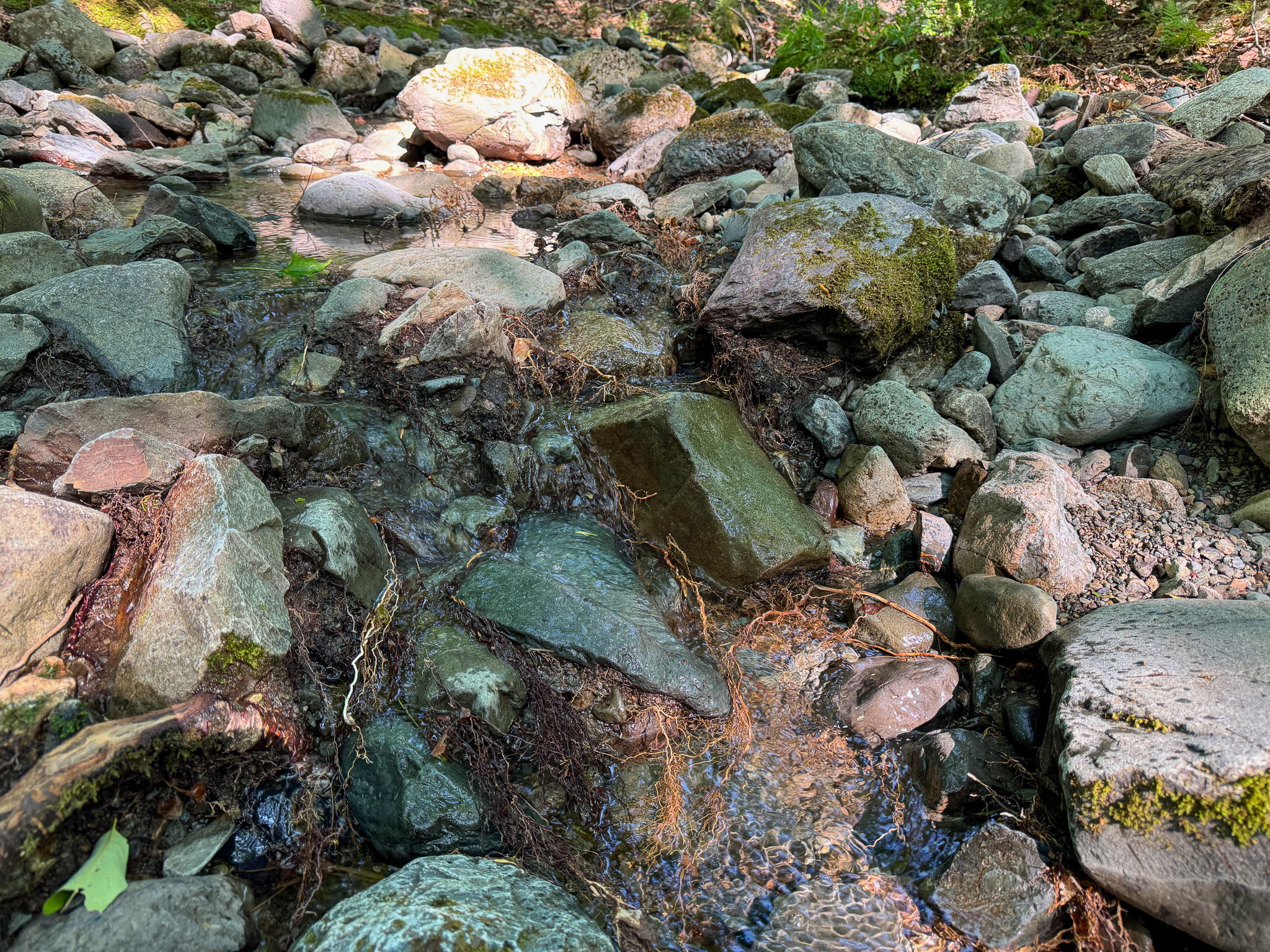 80± Acres of Off-Grid Mountain Land in Mount Chase, Maine