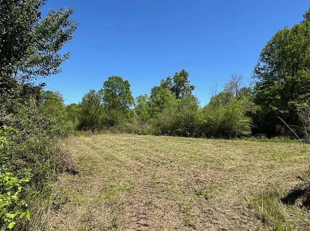 Hunting Land for Sale Near Gloster, Mississippi