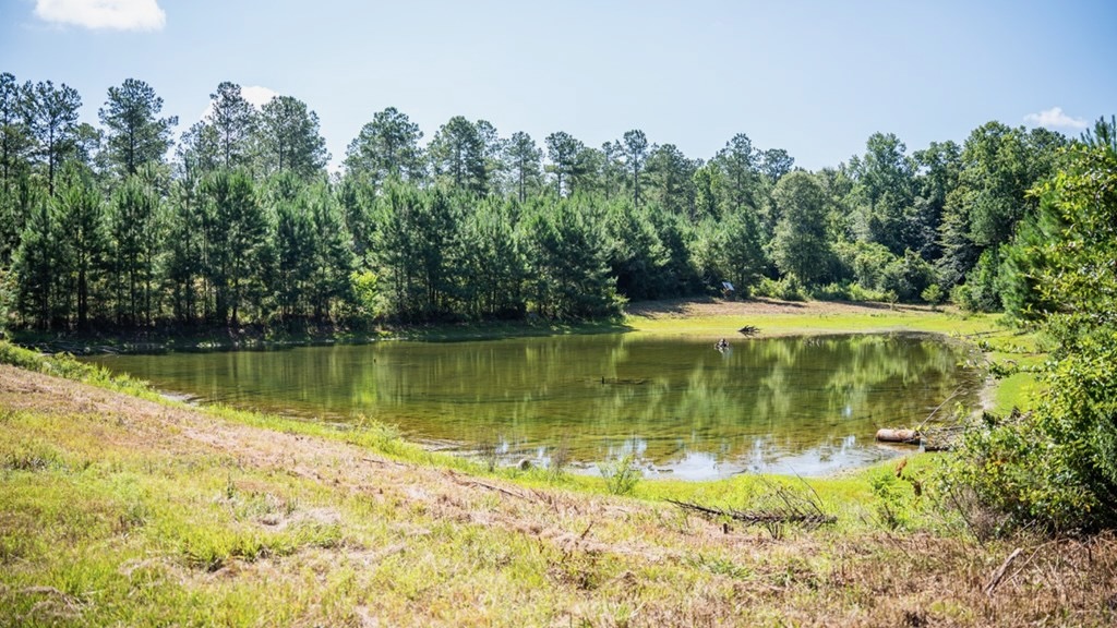 Osyka MS Hunting Land with Pond – Pike 38