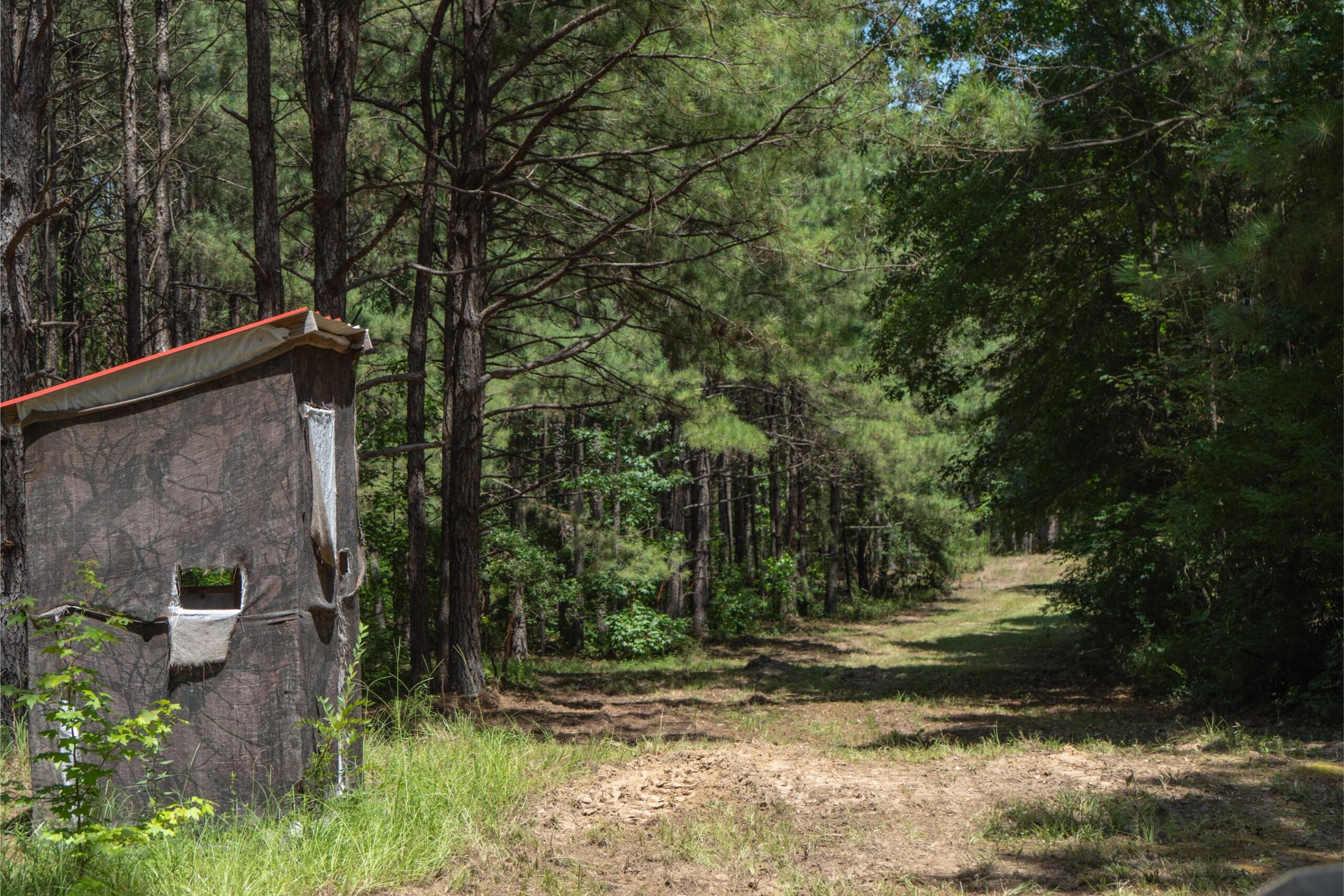 Lapine 216 Multi Use Recreational Timber – Ouachita Parish