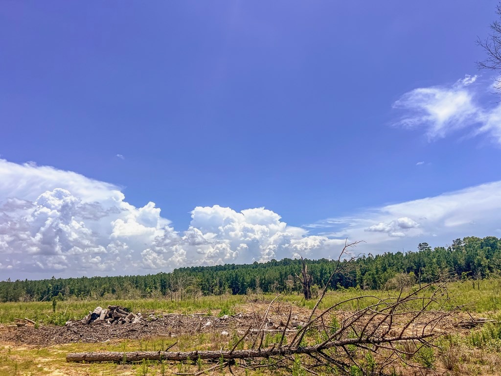 Land for Sale in Amite County, MS