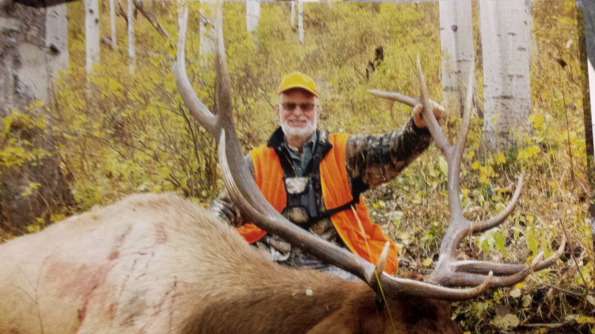 Colorado outfitting business for sale near Montrose, CO has elk, deer, bear hunting