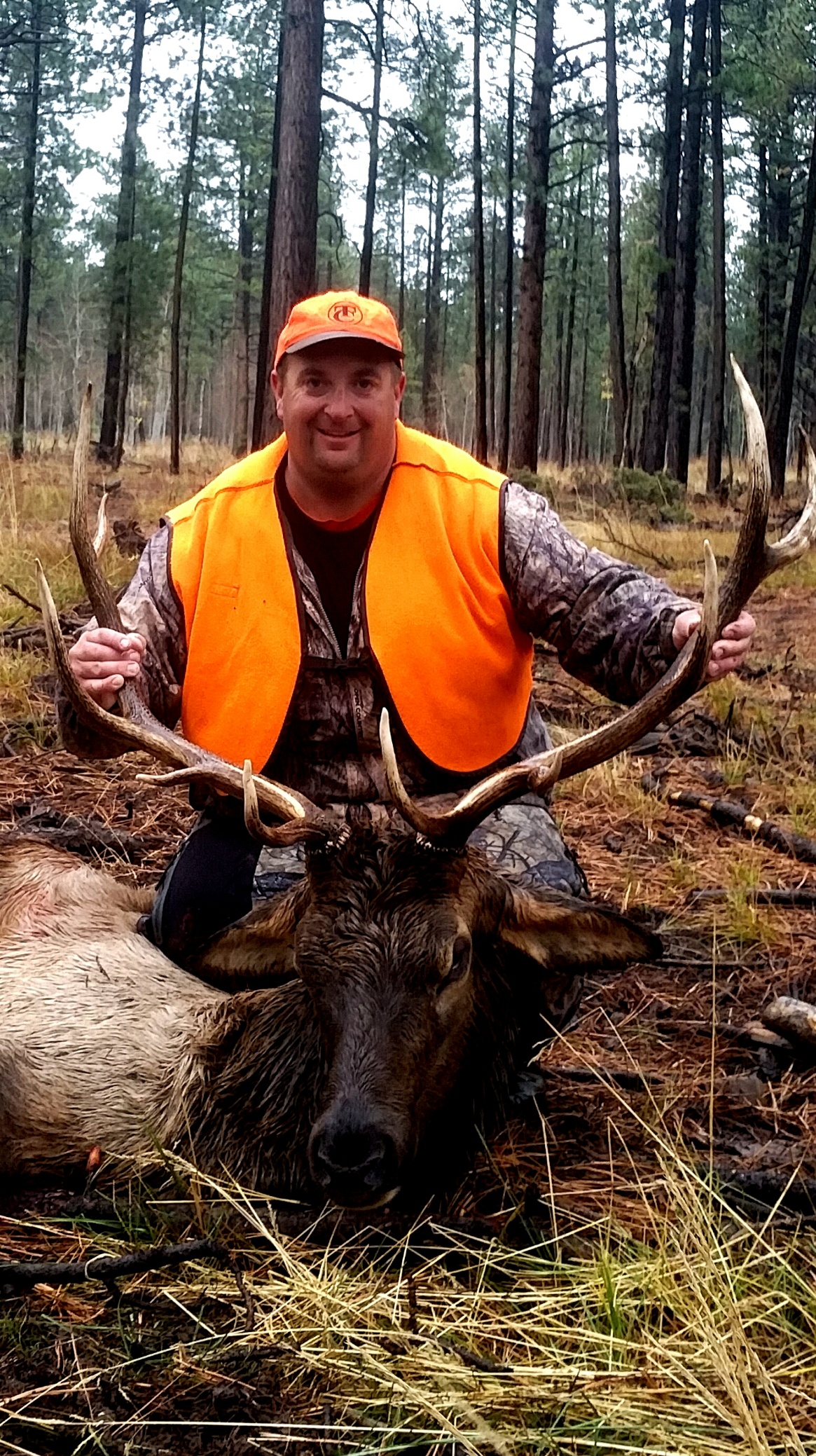 Colorado outfitting business for sale near Montrose, CO has elk, deer, bear hunting