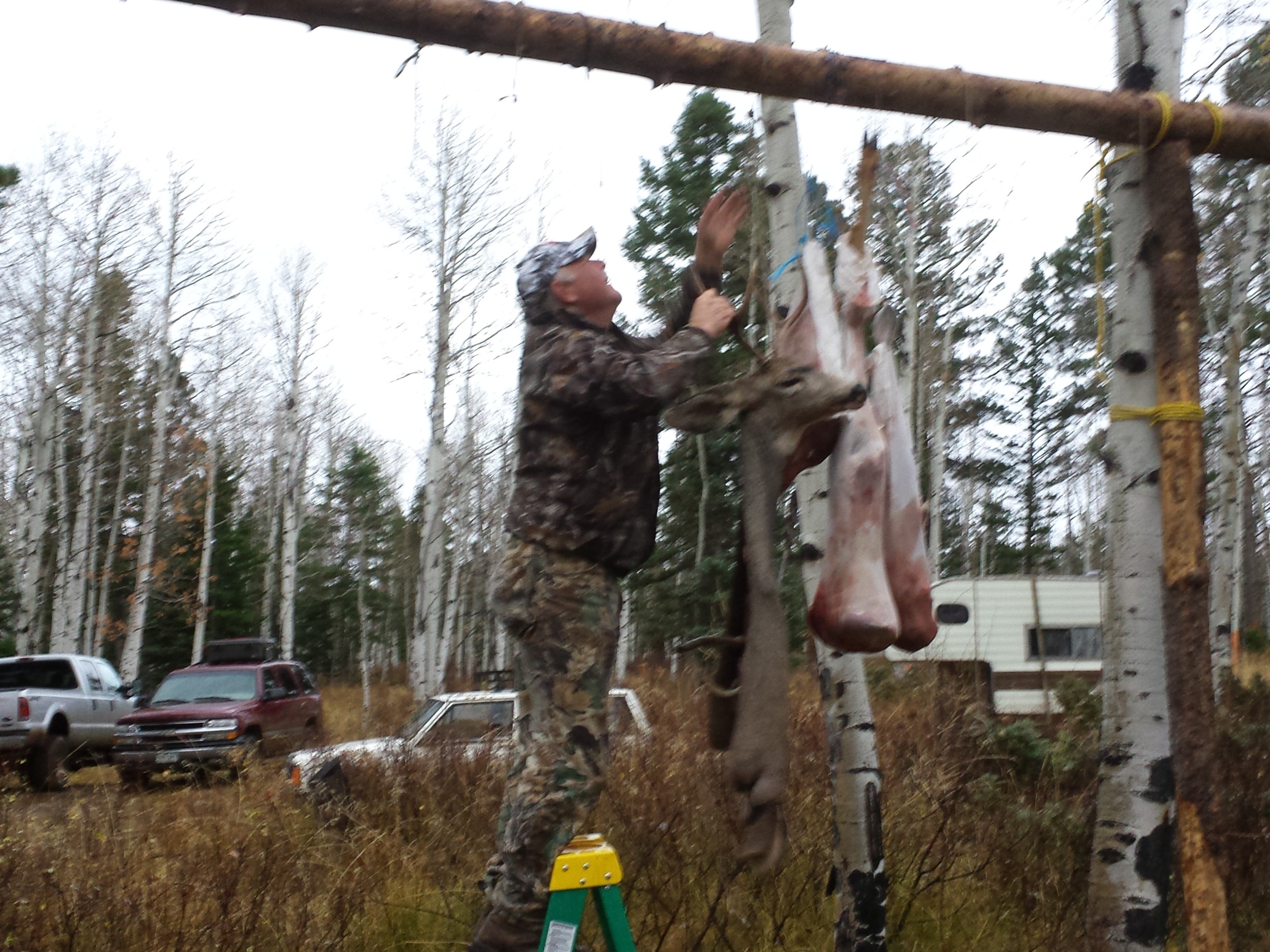 Colorado outfitting business for sale near Montrose, CO has elk, deer, bear hunting