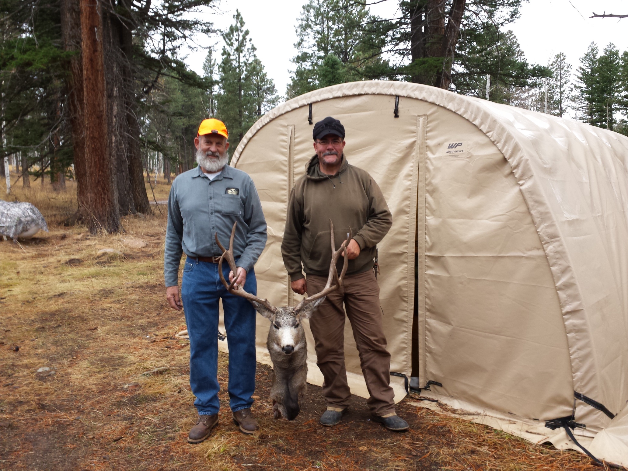 Colorado outfitting business for sale near Montrose, CO has elk, deer, bear hunting