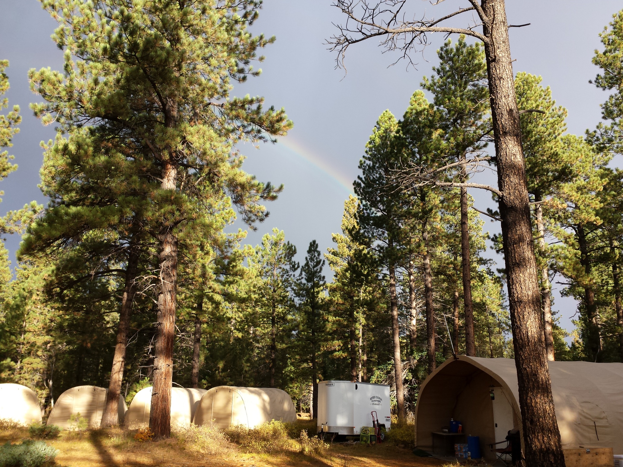 Colorado outfitting business for sale near Montrose, CO has elk, deer, bear hunting