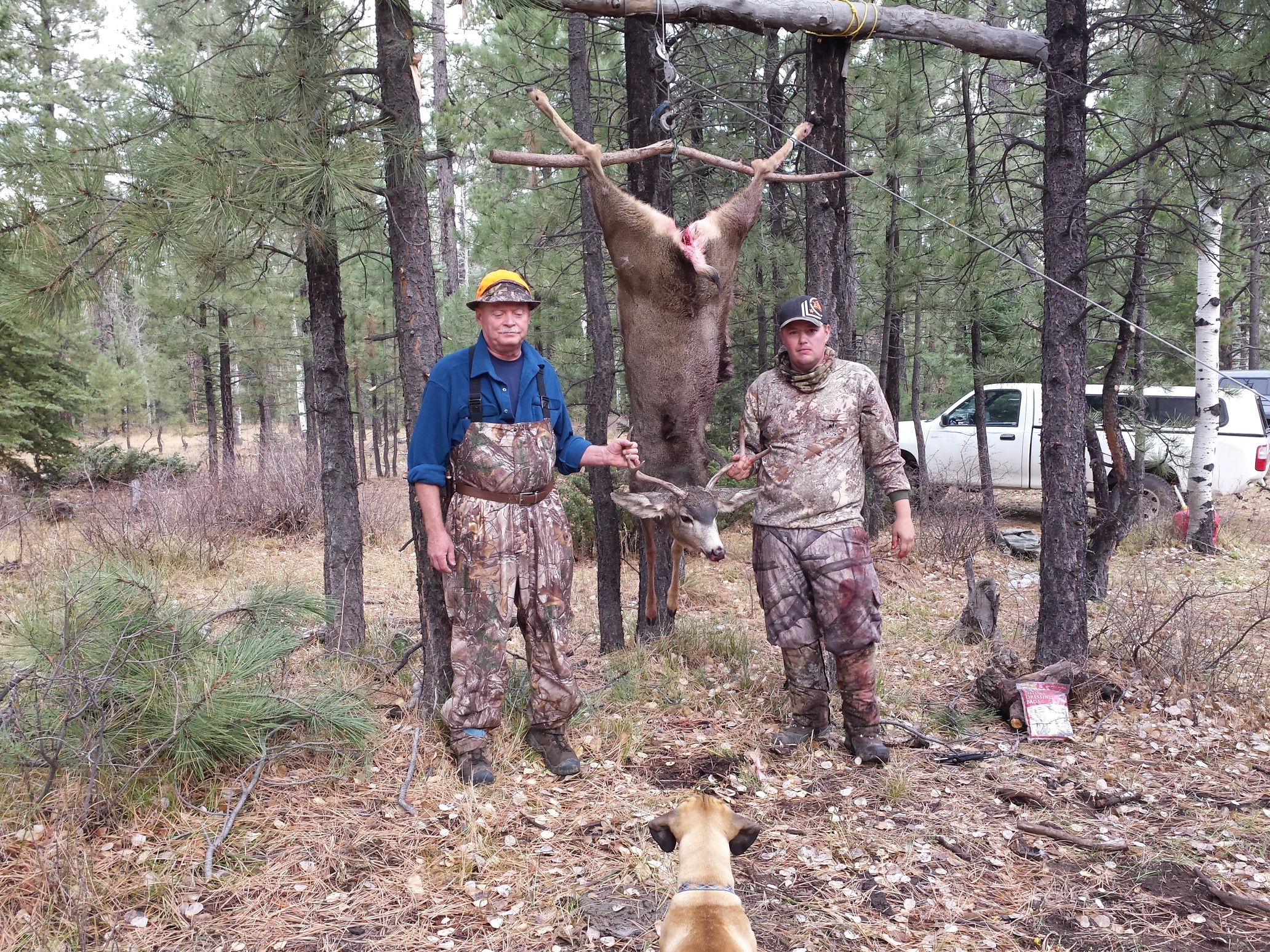 Colorado outfitting business for sale near Montrose, CO has elk, deer, bear hunting