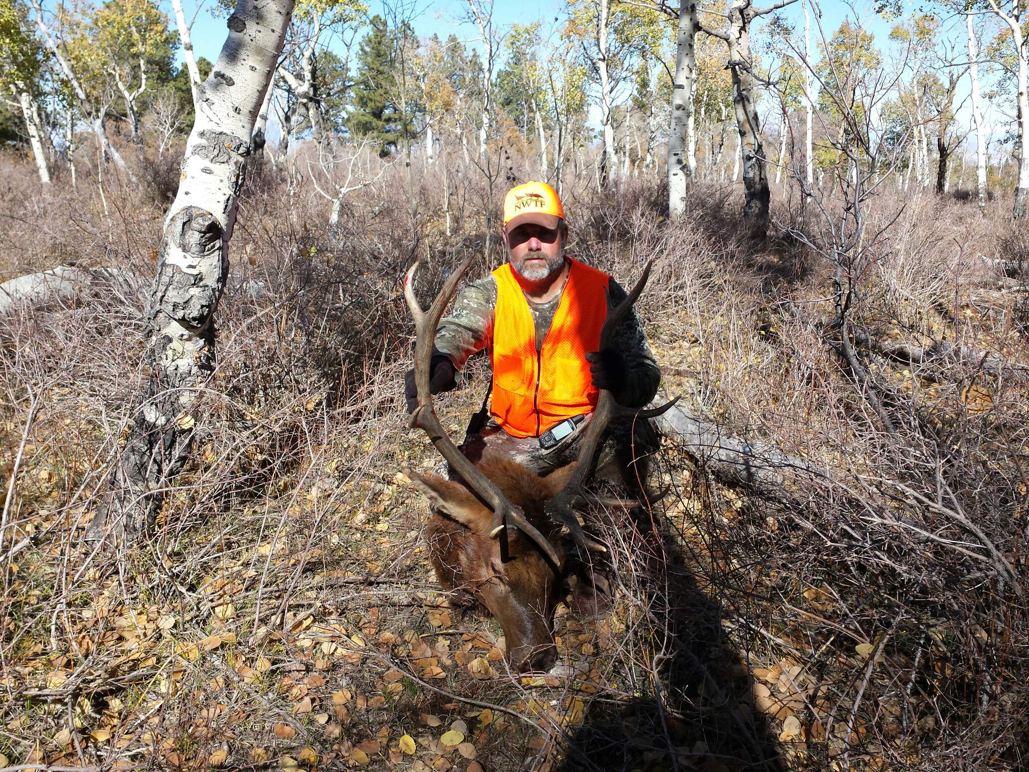 Colorado outfitting business for sale near Montrose, CO has elk, deer, bear hunting