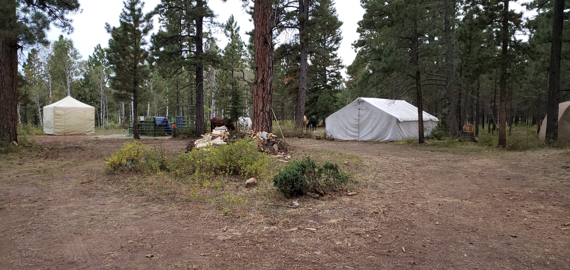 Colorado outfitting business for sale near Montrose, CO has elk, deer, bear hunting