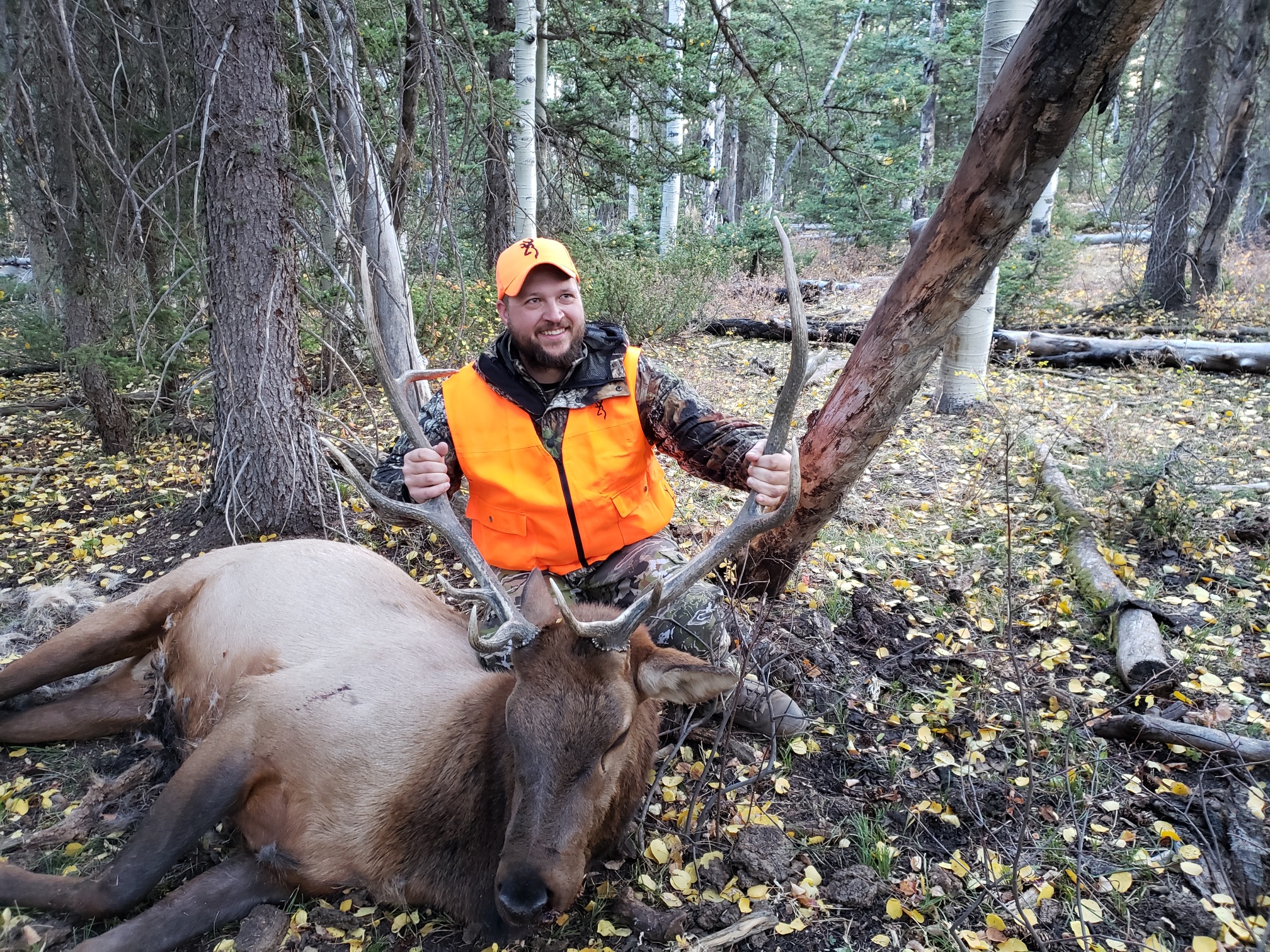 Colorado outfitting business for sale near Montrose, CO has elk, deer, bear hunting