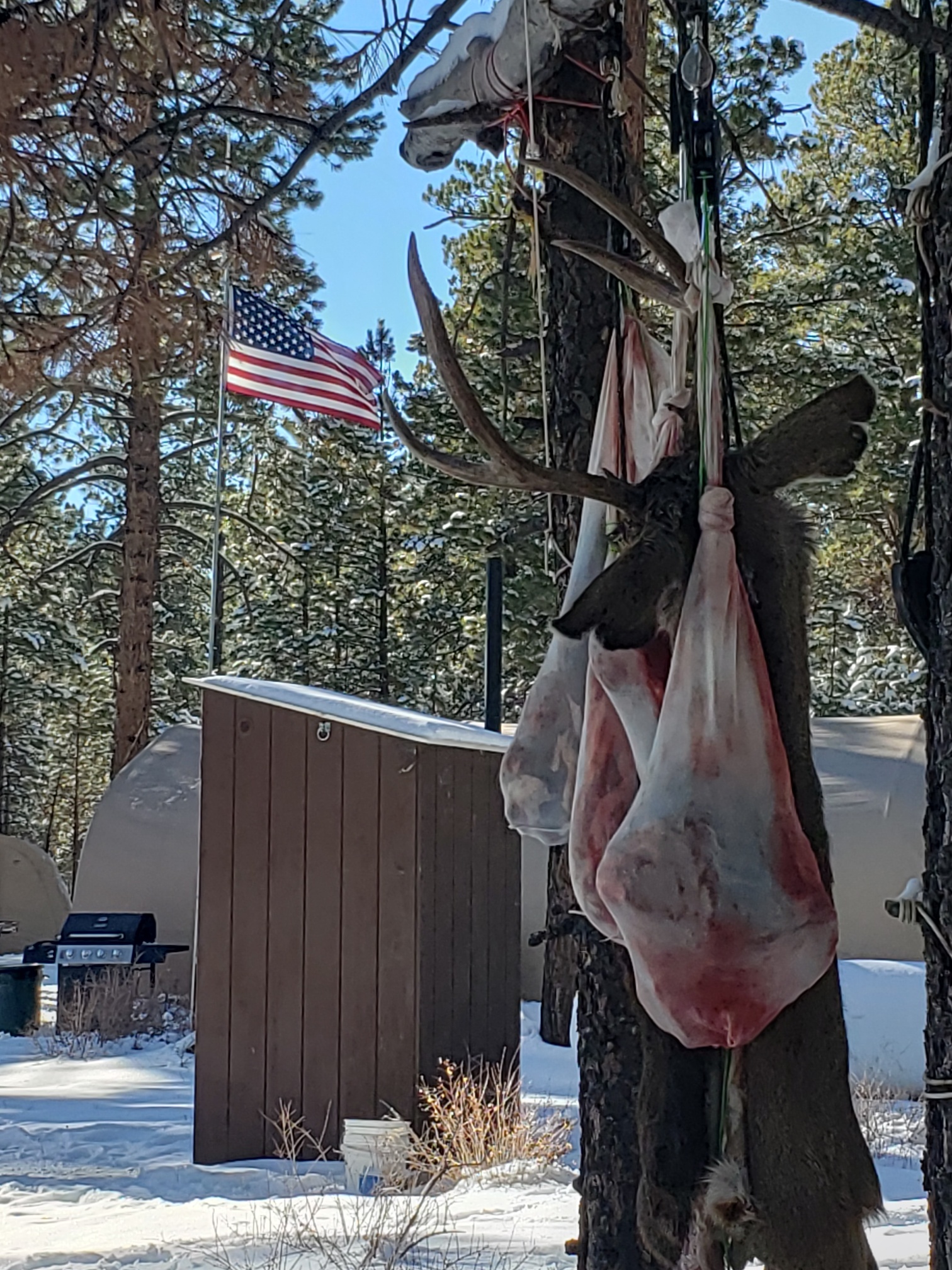 Colorado outfitting business for sale near Montrose, CO has elk, deer, bear hunting