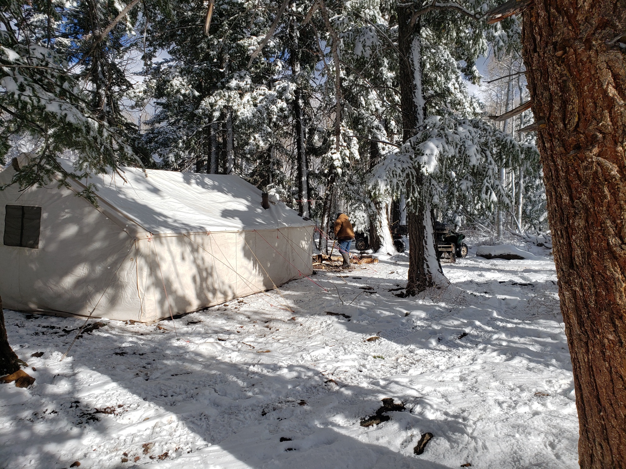 Colorado outfitting business for sale near Montrose, CO has elk, deer, bear hunting