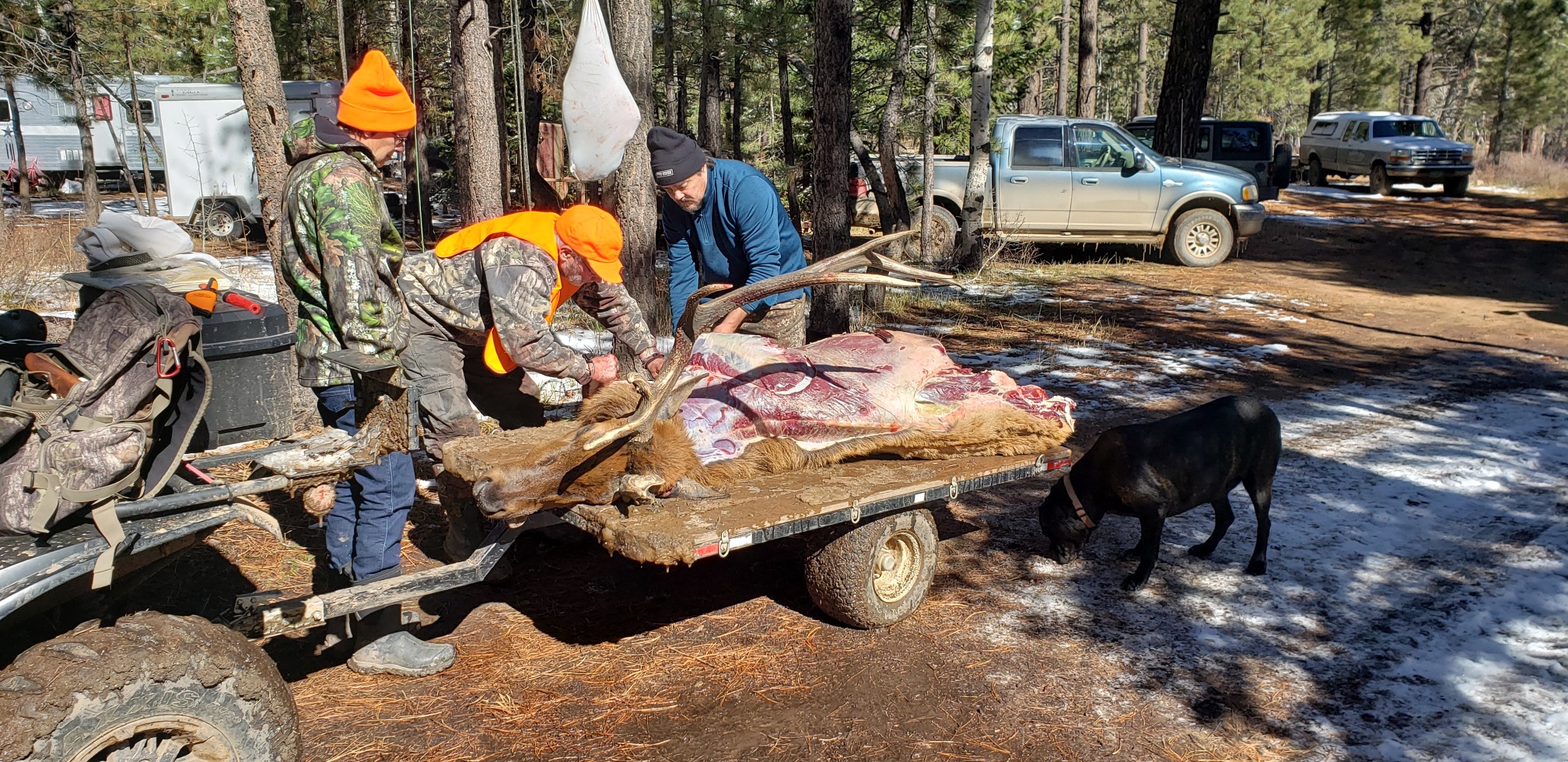 Colorado outfitting business for sale near Montrose, CO has elk, deer, bear hunting
