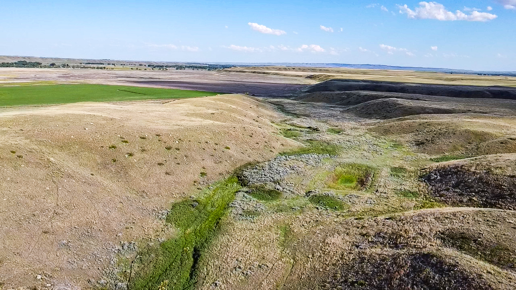 Norman Mavencamp Ranch