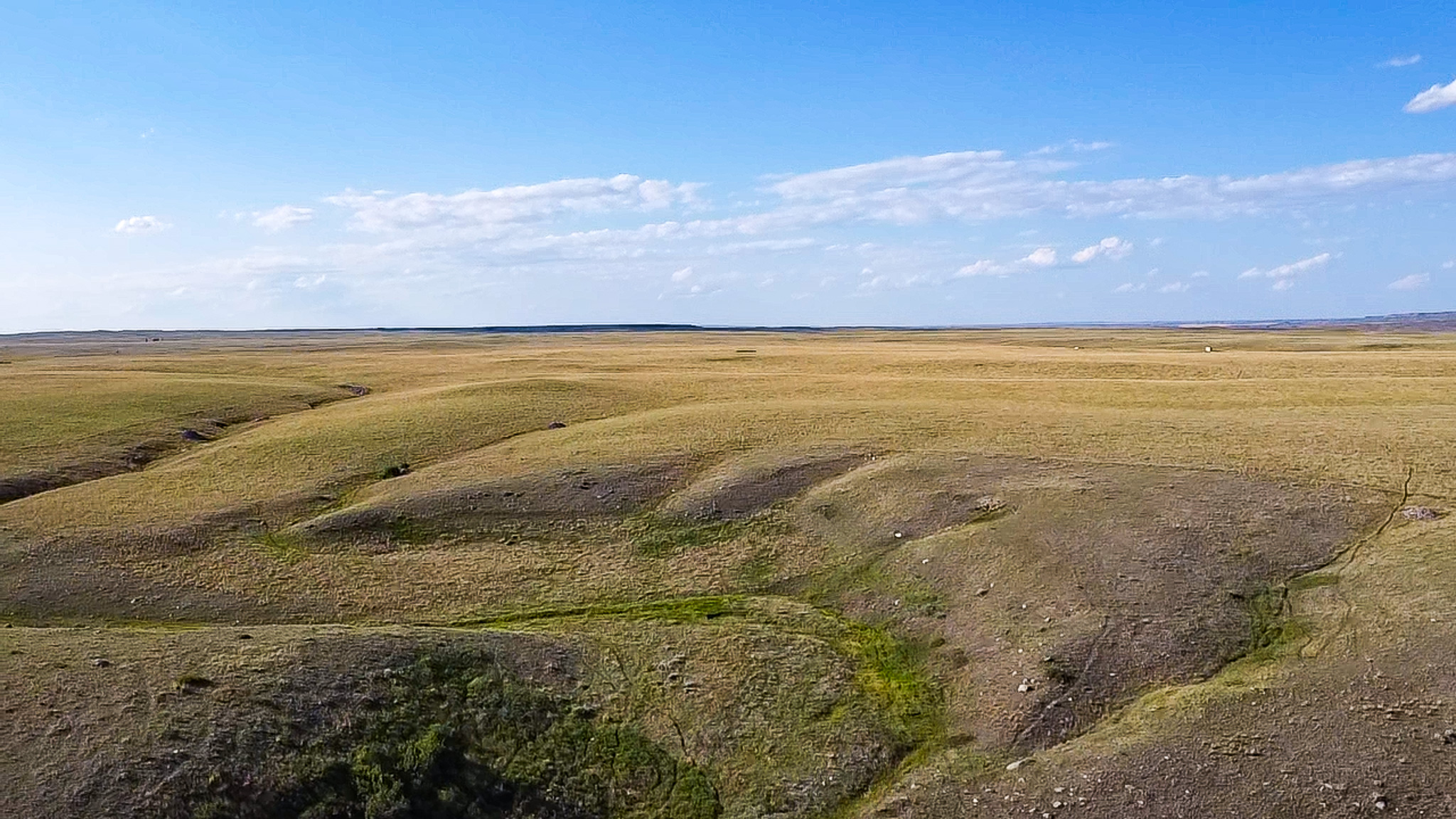 Norman Mavencamp Ranch