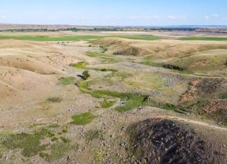 Norman Mavencamp Ranch