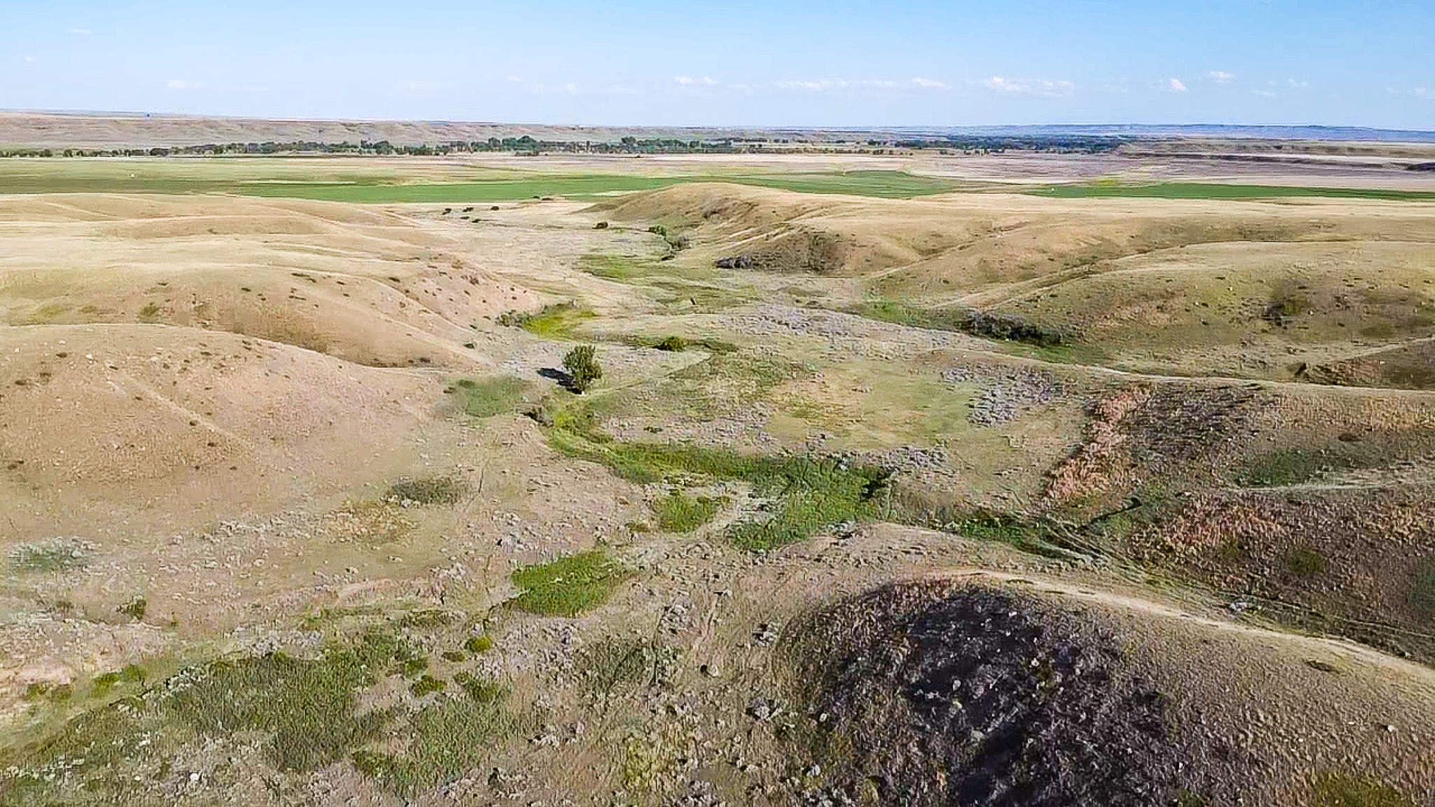 Norman Mavencamp Ranch