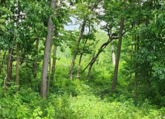 60.07 Acres of Ridgetop Land 45-acres Tillable & 14-Acres Woods