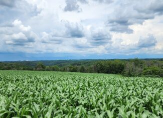 60.07 Acres of Ridgetop Land 45-acres Tillable & 14-Acres Woods