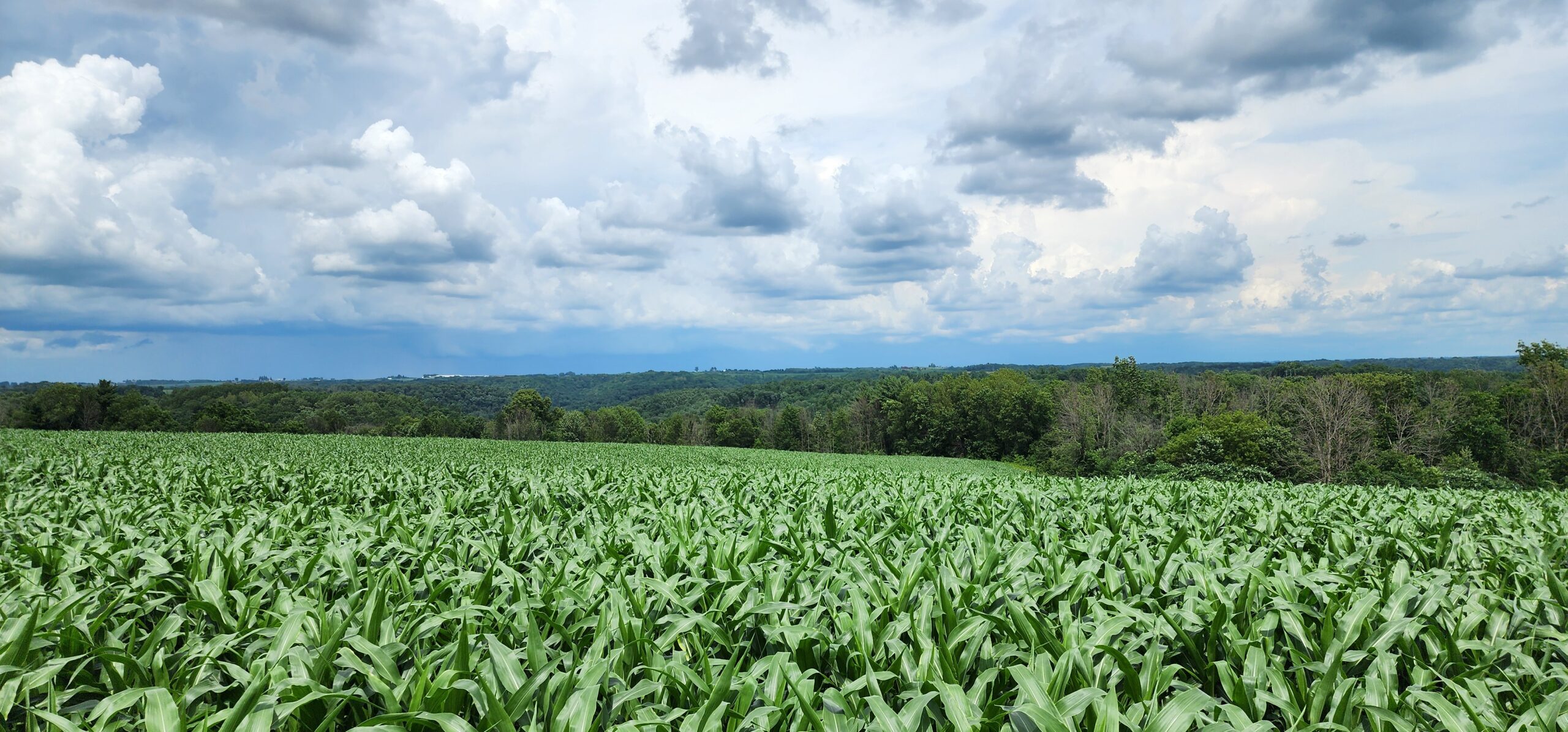 60.07 Acres of Ridgetop Land 45-acres Tillable & 14-Acres Woods