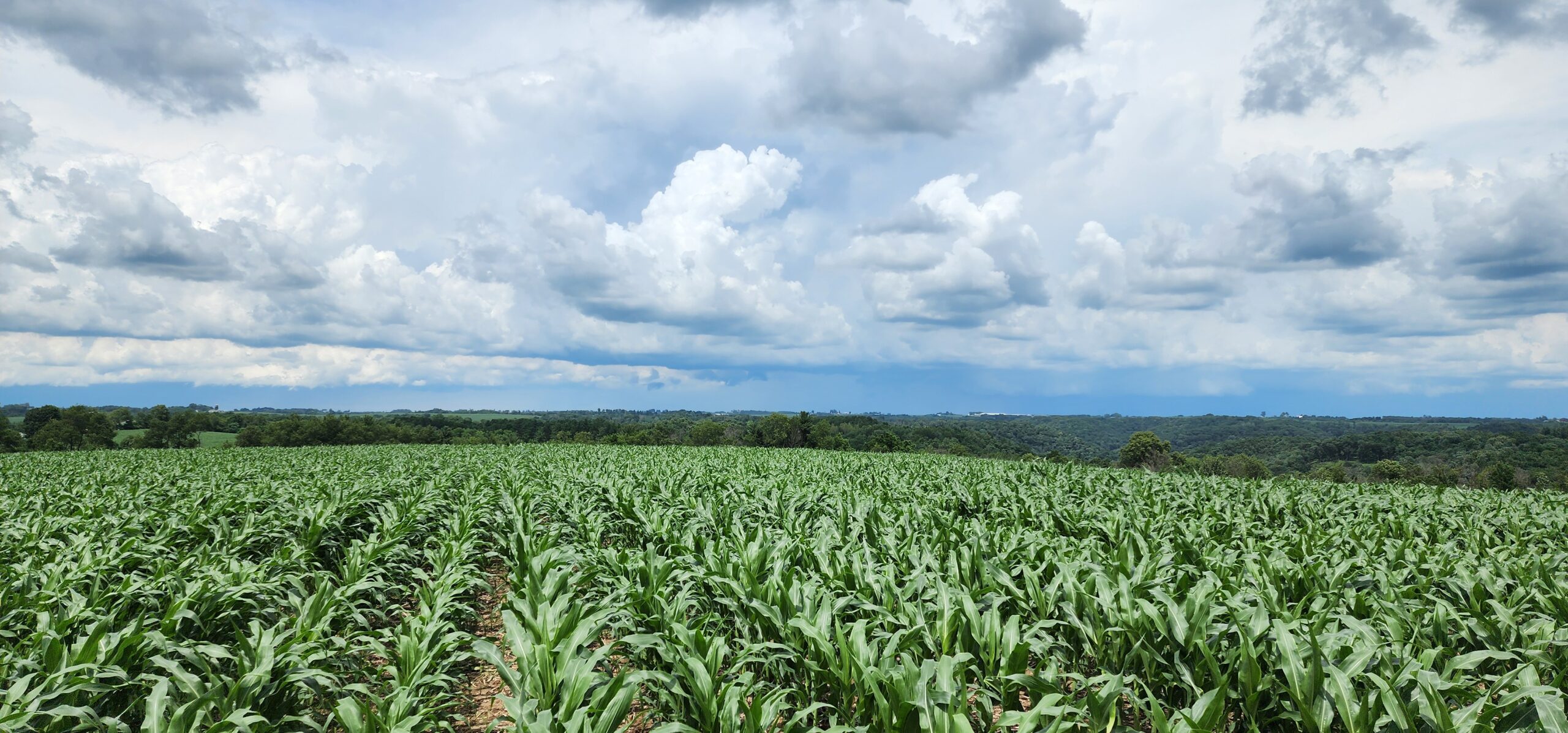 60.07 Acres of Ridgetop Land 45-acres Tillable & 14-Acres Woods