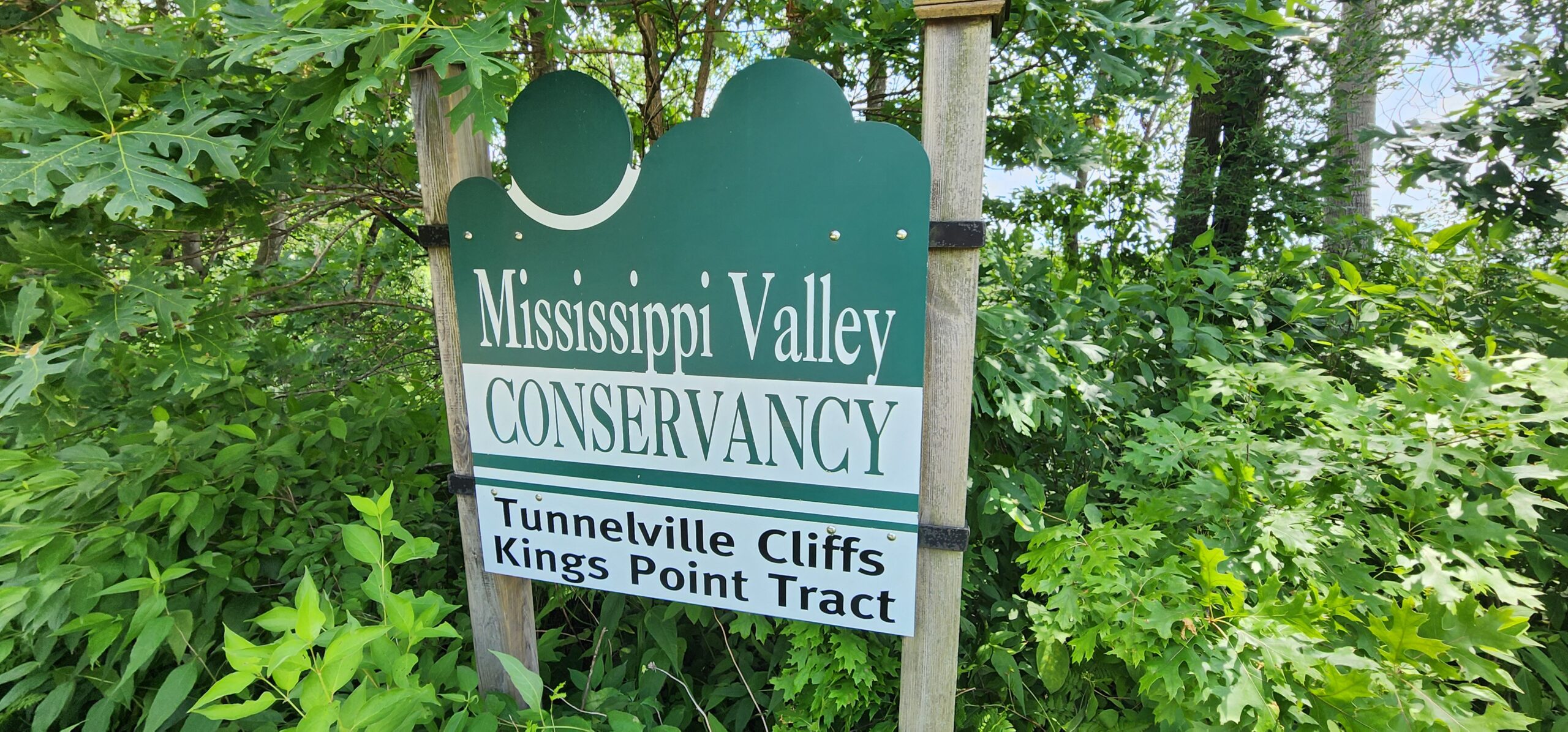 60.07 Acres of Ridgetop Land 45-acres Tillable & 14-Acres Woods