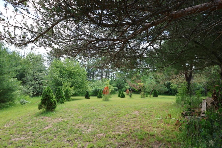 Hunter’s Paradise:  Cabin and Barn on 50 Acres Atlanta MI
