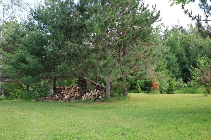 Hunter’s Paradise:  Cabin and Barn on 50 Acres Atlanta MI