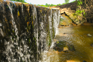 142+\- acres  For Sale El Dorado Springs MO
