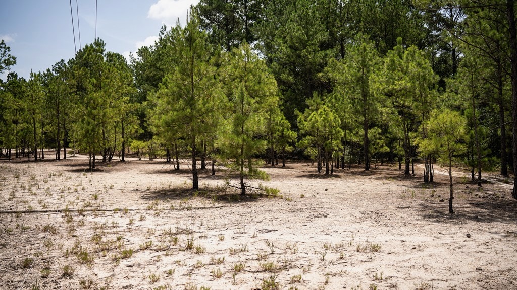 Clear Lake Land in East Feliciana Parish, Louisiana