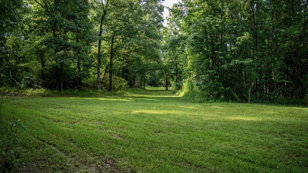 Hunting Land in Claiborne County, MS – The Reagan Tract