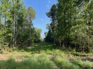 Small Hunting Tract FOR SALE in Amite County, MS