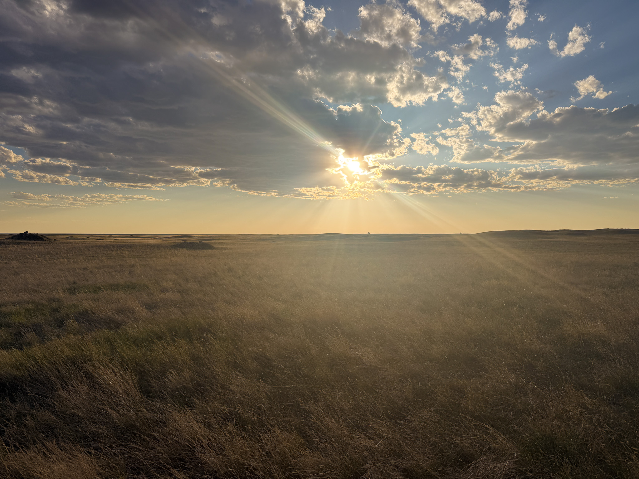 Norman Mavencamp Ranch