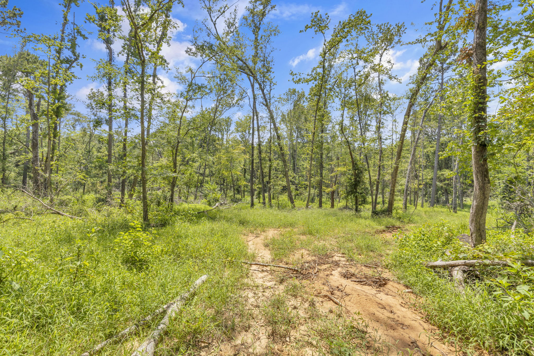 Texas Recreational Hunting Ranch for Sale East of Dallas