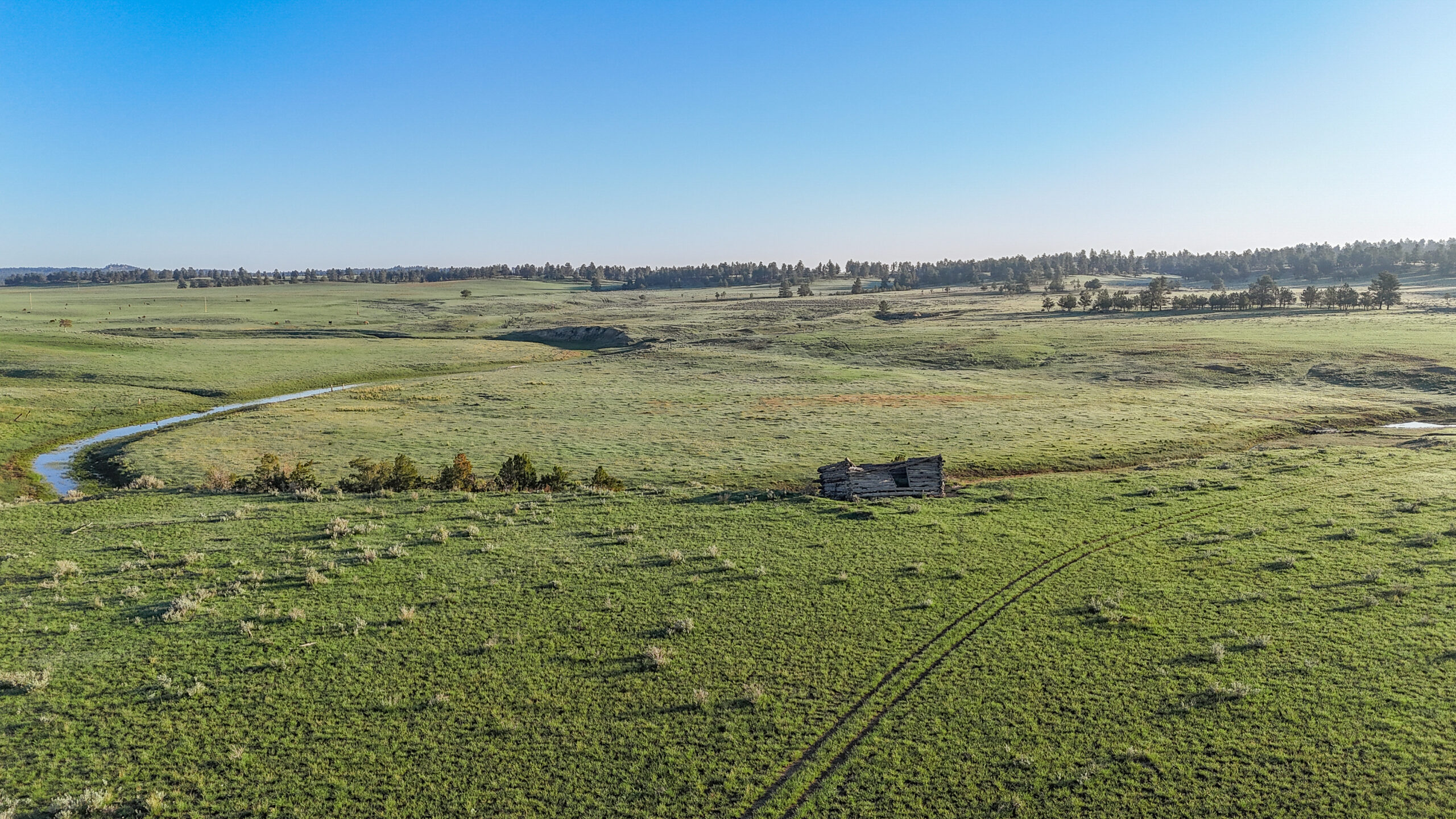 Buffalo Creek Ranch