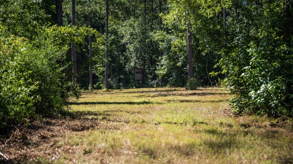 Osyka MS Hunting Land with Pond – Pike 38