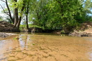142+\- acres  For Sale El Dorado Springs MO