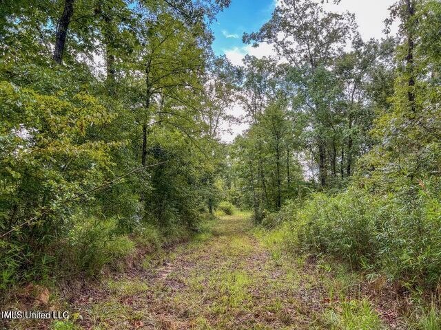 95 Acres of Prime Hunting Property in Hinds County