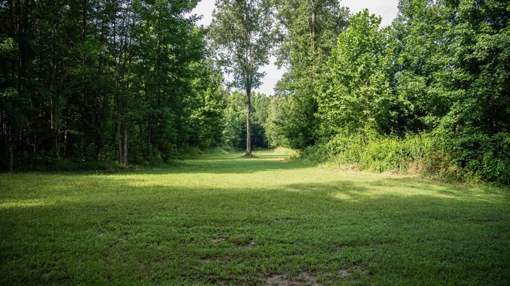 Hunting Land in Claiborne County, MS – The Reagan Tract